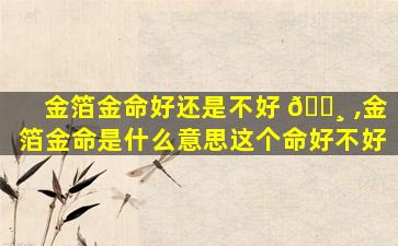 金箔金命好还是不好 🕸 ,金箔金命是什么意思这个命好不好